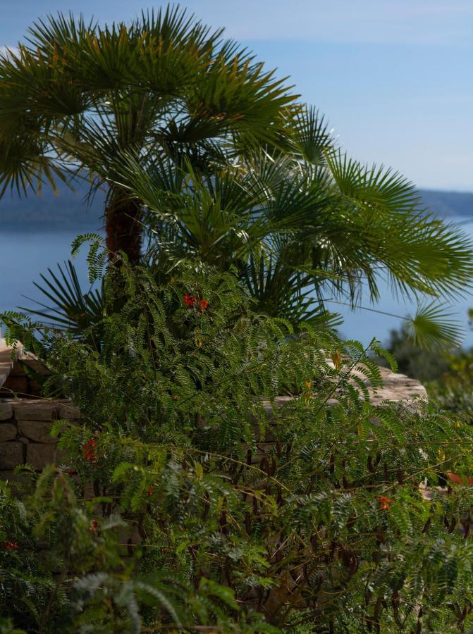 Bellina Villa Αγνίτσινη Εξωτερικό φωτογραφία